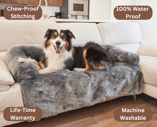 PawProtect™ Couch Cover Bed